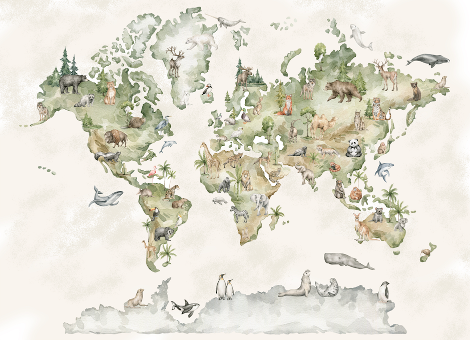 Papel Mural Mapa