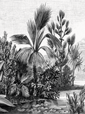 Lámina Decorativa Palms
