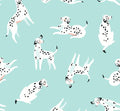 Papel Mural P102