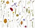 Papel Mural P013