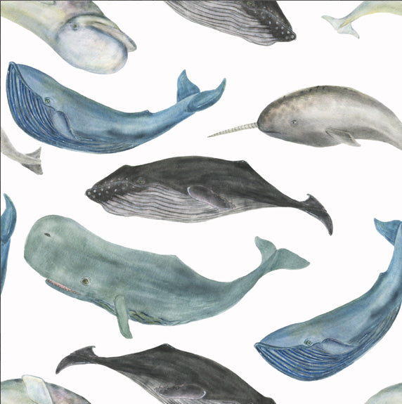 Papel Mural P135