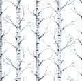 Papel Adhesivo  D053 (Decovinil)